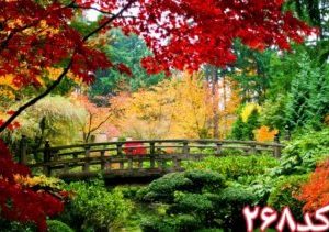کاشی سه بعدی طرح طبیعت از خانه شیک
