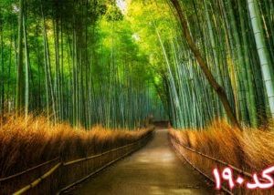 کاشی سه بعدی طرح طبیعت از خانه شیک