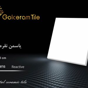 کاشی گلسرام یاسمن نقره ای 30*30