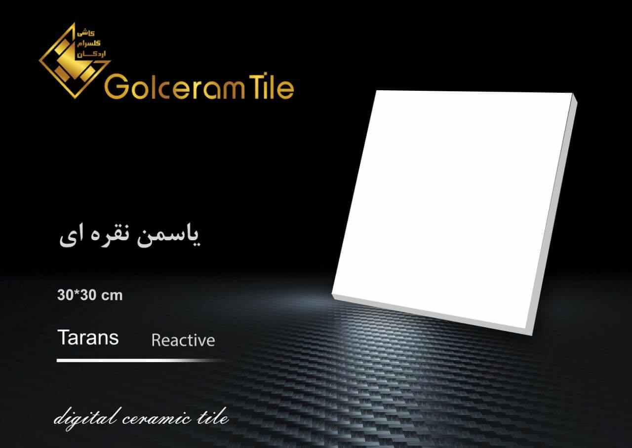 Gholceram111.jpeg کاشی گلسرام یاسمن نقره ای 30*30